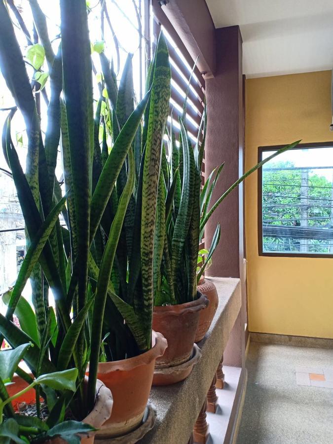 הוסטל Patong Kookkai House מראה חיצוני תמונה